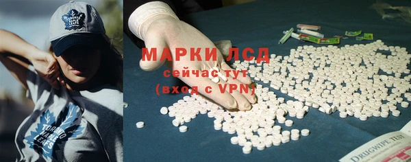 твердый Арсеньев