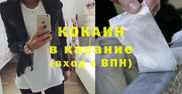 твердый Арсеньев