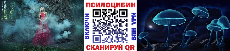 Псилоцибиновые грибы Cubensis  Реж 